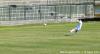 El Gouna FC vs FC Luzern 0003